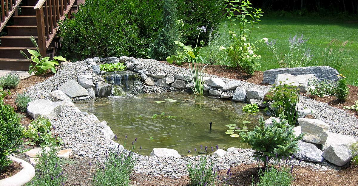 pond1 pond1