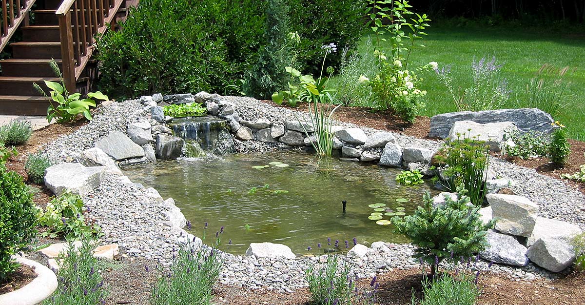 pond1